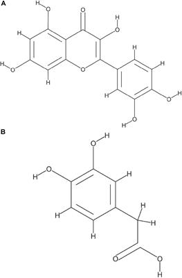 <mark class="highlighted">Bacteroides thetaiotaomicron</mark> Starch Utilization Promotes Quercetin Degradation and Butyrate Production by Eubacterium ramulus